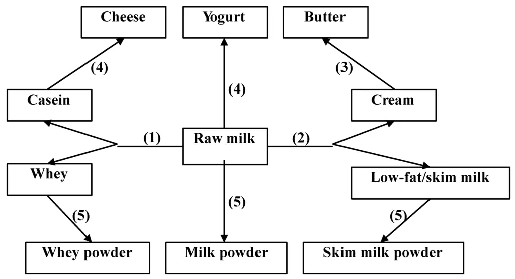 Dairy Products Development with Fermentation-Trends