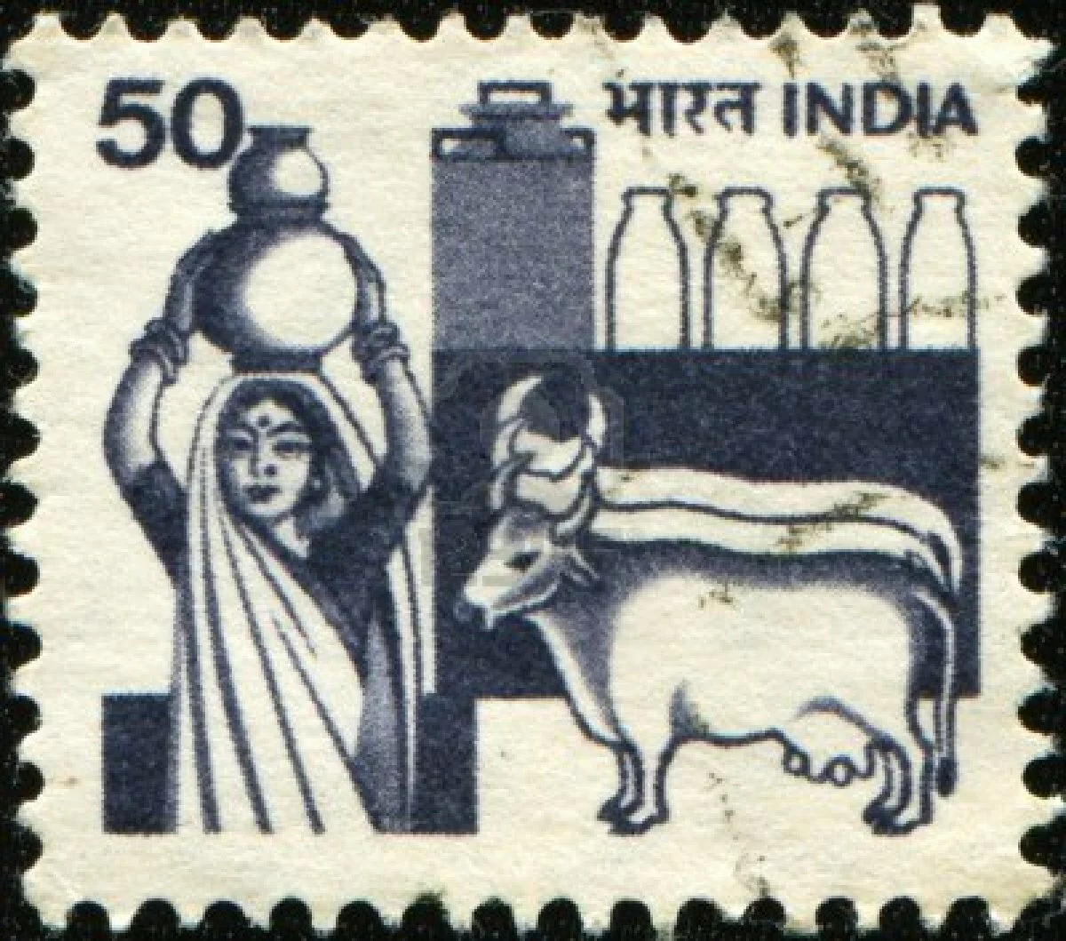 Dairy Products India