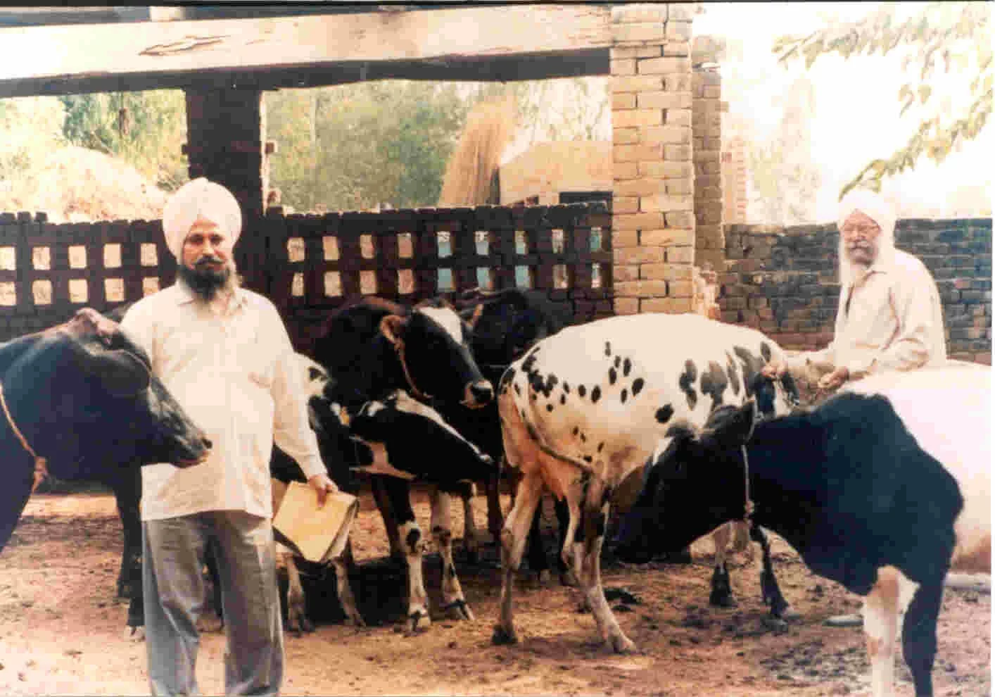 Dairy Farmers in Punjab